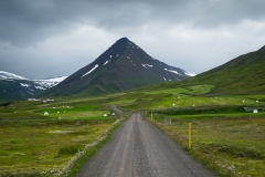 Svarfadardalur